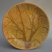sgraffito plate with tree / 2025 / glazed earthenware / in private collection