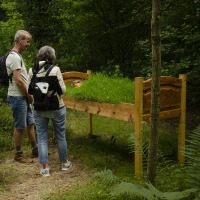 De mens op excursie in het planten- en dierenrijk / 2024 / kasteel Hackfort / wood, pottery / a wig / textile and sod