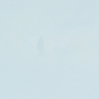 Man in de mist / 2016 / 50 x 60 cm / oil on panel